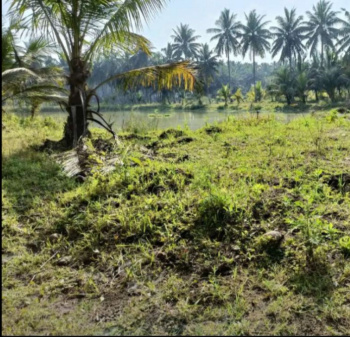  Agricultural Land for Sale in Tatipaka, East Godavari