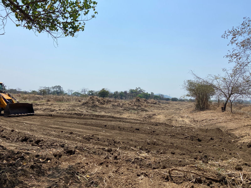  Agricultural Land 54 Sq.ft. for Sale in Alibag, Raigad