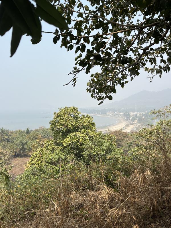  1 Acre Agricultural/Farm Land for Sale in Alibag, Raigad