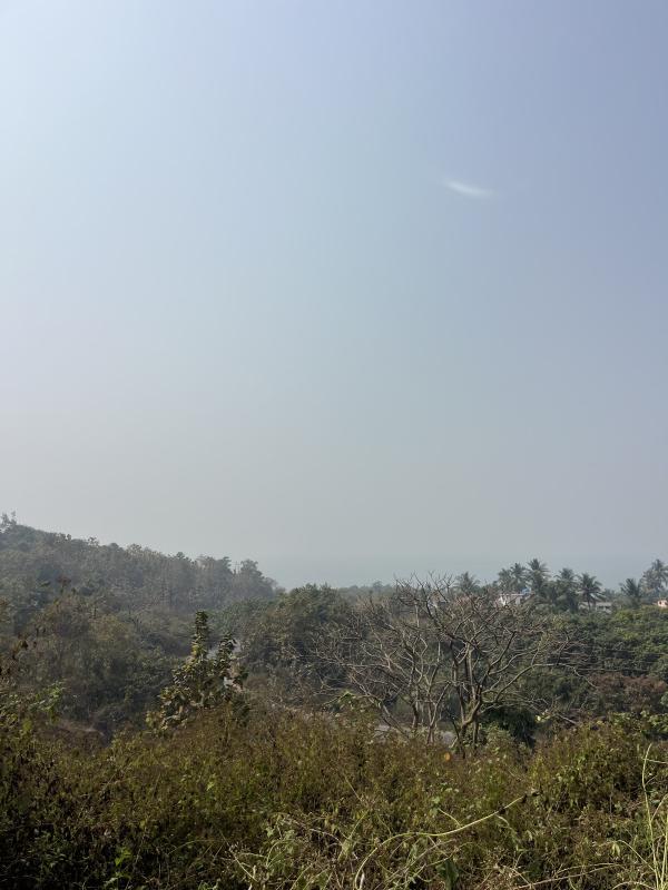  1 Acre Agricultural/Farm Land for Sale in Alibag, Raigad