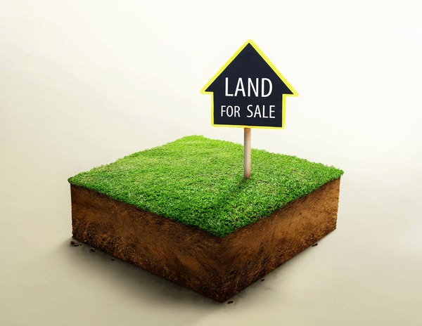  Agricultural Land 9600 Sq.ft. for Sale in Madurantakam, Chennai