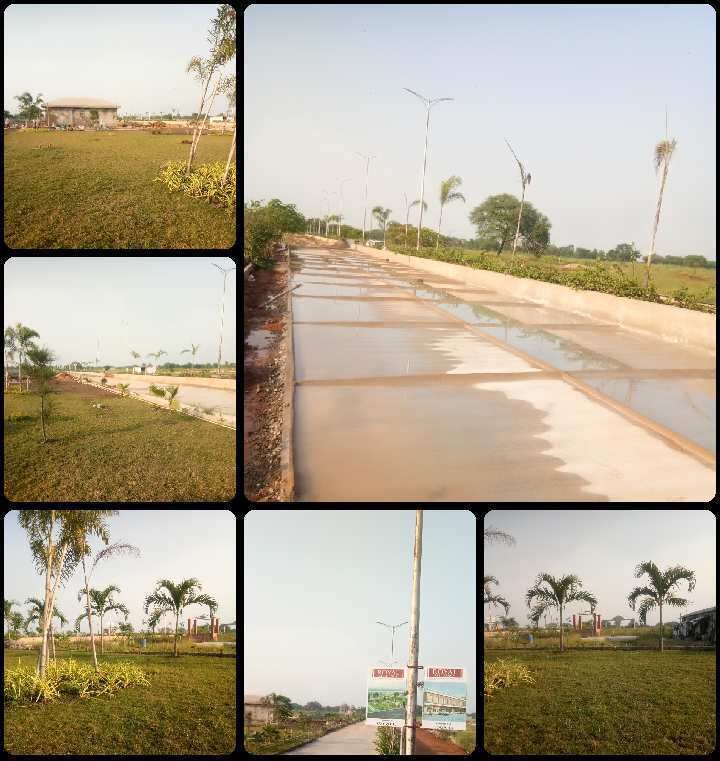  Residential Plot 1000 Sq.ft. for Sale in Vidhan Sabha Road, Raipur