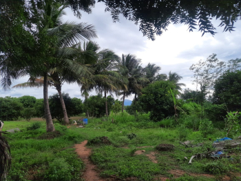  Agricultural Land for Sale in Peraiyur, Madurai