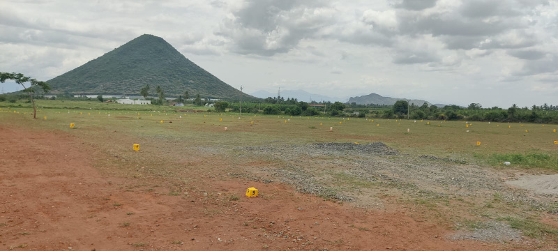  Commercial Land 30 Sq.ft. for Sale in Pollachi, Coimbatore