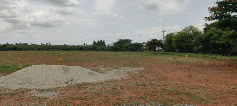  Commercial Land 30 Sq.ft. for Sale in Pollachi, Coimbatore