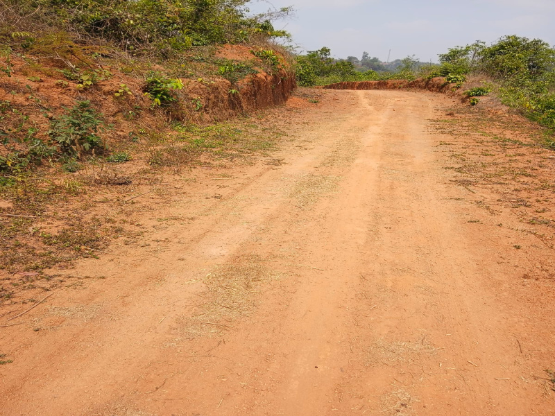  1 Acre Residential Plot for Sale in Nileshwar, Kasaragod