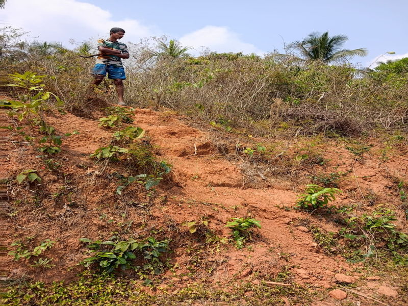  1 Acre Residential Plot for Sale in Nileshwar, Kasaragod