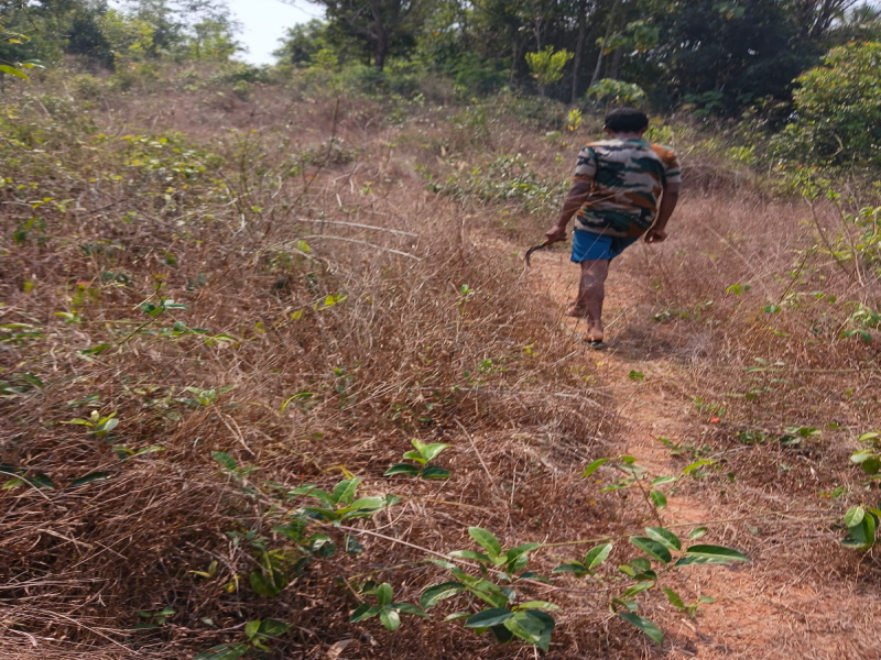  1 Acre Residential Plot for Sale in Nileshwar, Kasaragod