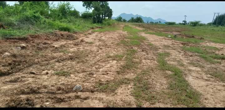  Residential Plot 1000 Sq.ft. for Sale in Nalikalpatti, Salem