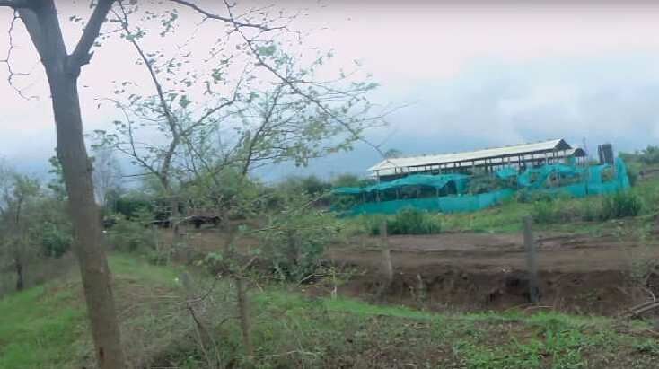  Agricultural Land 80000 Sq.ft. for Rent in Vikramgad, Palghar