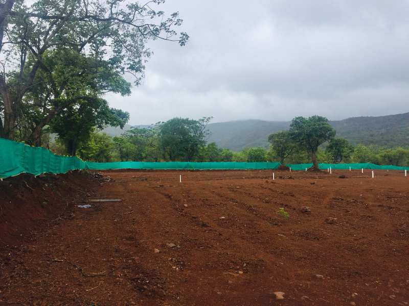 20000 Sq.ft. Agricultural Land for Sale in Velhe, Pune (REI1087646)