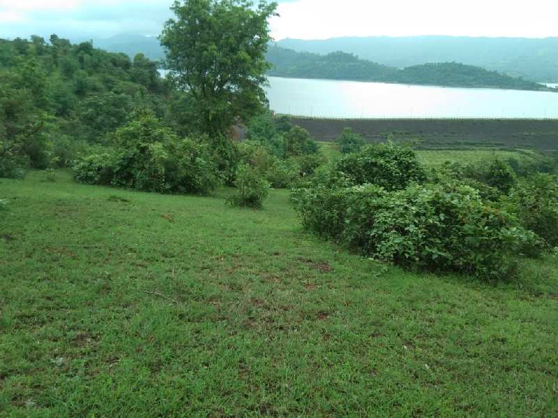 Farm Land for Sale in Velhe, Pune (REI1101106)