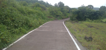  Agricultural Land for Sale in Tanaji Nagar, Pune