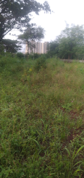  Agricultural Land 60 Guntha for Sale in Pavana Nagar, Pune