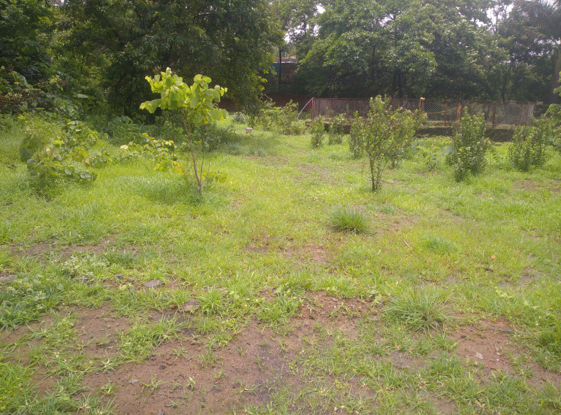  Residential Plot 17000 Sq.ft. for Sale in Baner Pashan Link Road, Pune