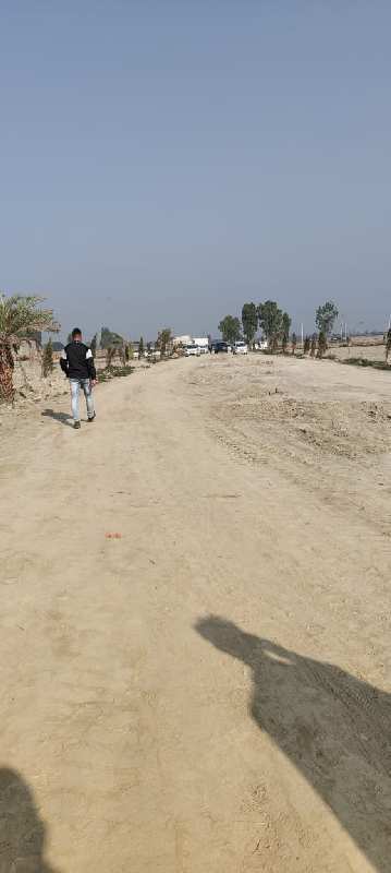  3000 Sq.ft. Residential Plot for Sale in Yamuna Expressway, Greater Noida