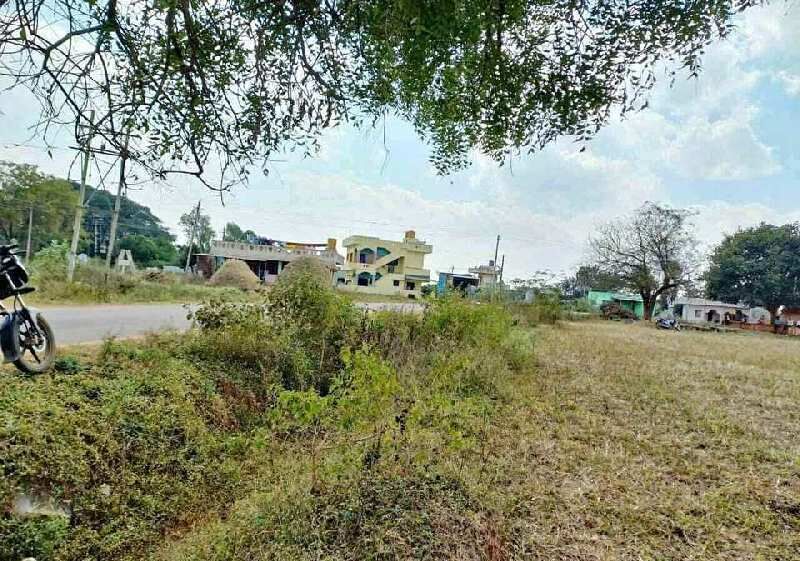  Agricultural Land 2722 Sq.ft. for Sale in Doddaballapur, Bangalore