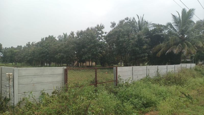 1 BHK Farm House 25200 Sq.ft. for Sale in Halaguru, Mandya