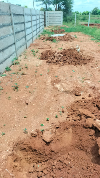 1 BHK Farm House 25200 Sq.ft. for Sale in Halaguru, Mandya