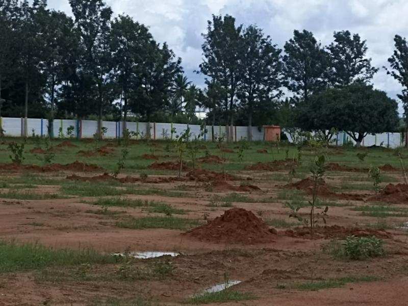  Residential Plot 5500 Sq.ft. for Sale in Hoskote, Bangalore