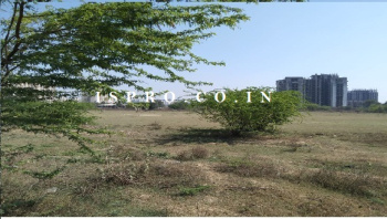  Agricultural Land for Sale in Behrampur, Gurgaon
