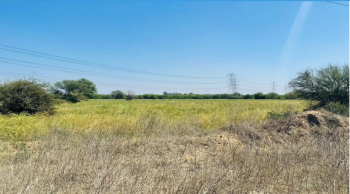  Commercial Land for Sale in Dwarka Expressway, Gurgaon