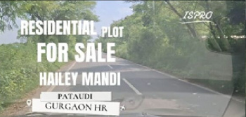  Residential Plot for Sale in Pataudi, Gurgaon