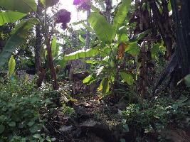  Agricultural Land for Sale in Kuravilangad, Kottayam