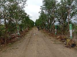  Agricultural Land for Sale in Chengalpet, Chennai