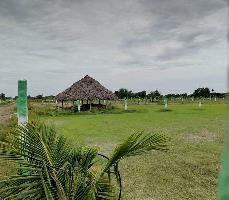  Agricultural Land for Sale in Chengalpet, Chennai