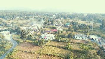  Residential Plot for Sale in Dhaulas, Dehradun