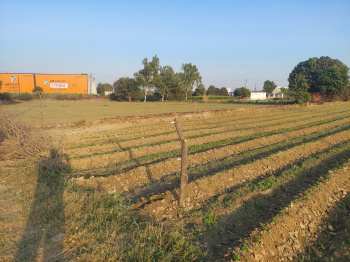  Agricultural Land for Sale in Pilkhuwa, Hapur