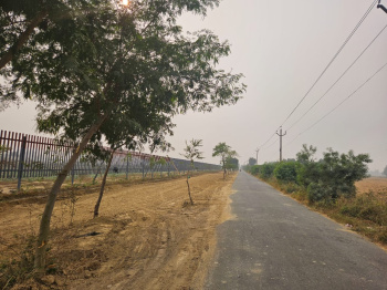  Residential Plot for Sale in Sahnewal, Ludhiana