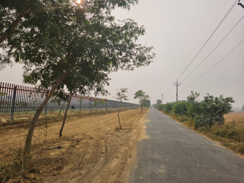  Residential Plot 127 Sq. Yards for Sale in Sahnewal, Ludhiana