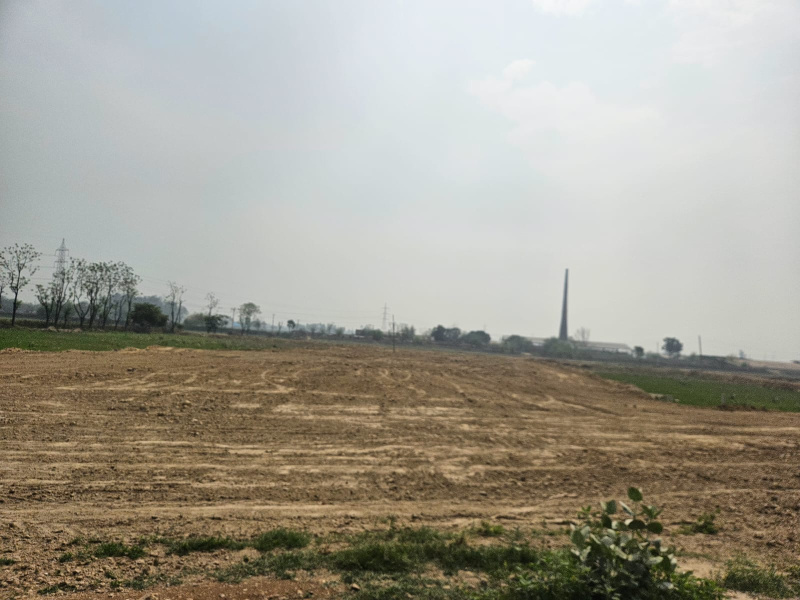  Residential Plot 127 Sq.ft. for Sale in Sahnewal, Ludhiana