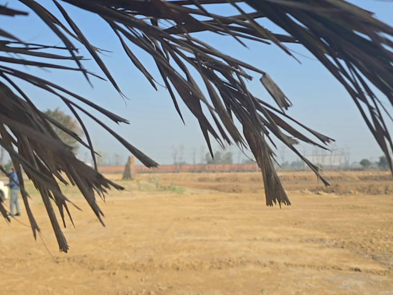  Residential Plot 115 Sq. Yards for Sale in Sahnewal, Ludhiana