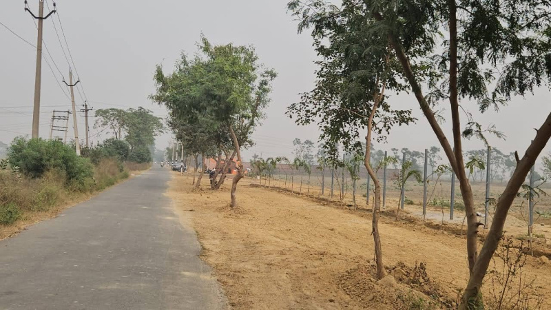  Residential Plot 113 Sq. Yards for Sale in Sahnewal, Ludhiana