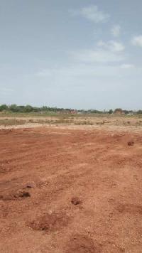  Agricultural Land for Sale in Naidupeta, Nellore