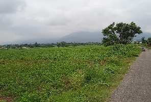  Agricultural Land for Sale in Pithampur, Dhar