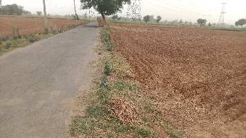  Agricultural Land for Sale in Manesar, Gurgaon