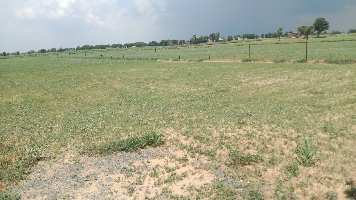  Agricultural Land for Sale in Tijara, Alwar