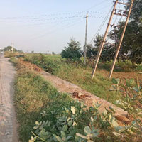  Agricultural Land for Sale in Dharuhera, Rewari