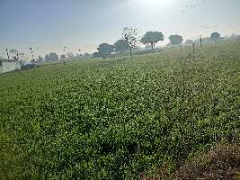  Agricultural Land for Sale in Khushkhera, Bhiwadi