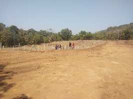  Agricultural Land for Sale in Tala, Raigad