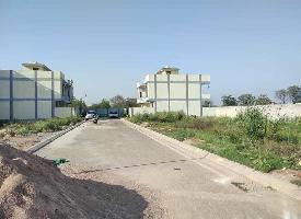  Residential Plot for Sale in Sector 37 Bahadurgarh