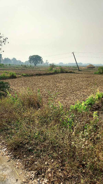 Agricultural Land 340 Guntha for Sale in