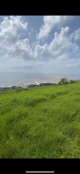  63 Guntha Agricultural/Farm Land for Sale in Dapoli, Ratnagiri