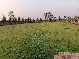  Residential Plot for Sale in Dunda, Raipur