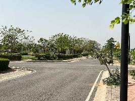  Residential Plot for Sale in Sector 92 Gurgaon