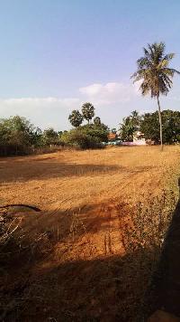  Commercial Land for Sale in Tirupathur, Sivaganga